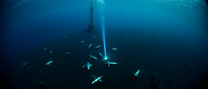 Под водой в Черном море: румынские спецслужбы ликвидировали угрозу в районе газового шельфа